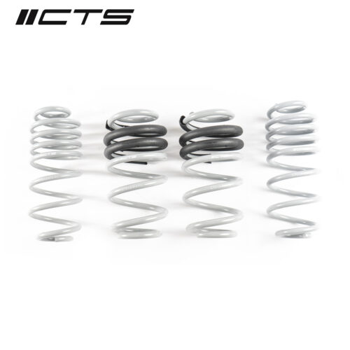 CTS TURBO B8/B8.5 AUDI A4/S4 LOWERING SPRING SET -CTS-LS-012